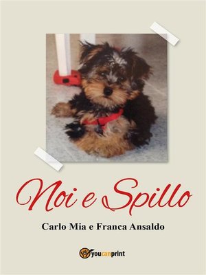 cover image of Noi e Spillo